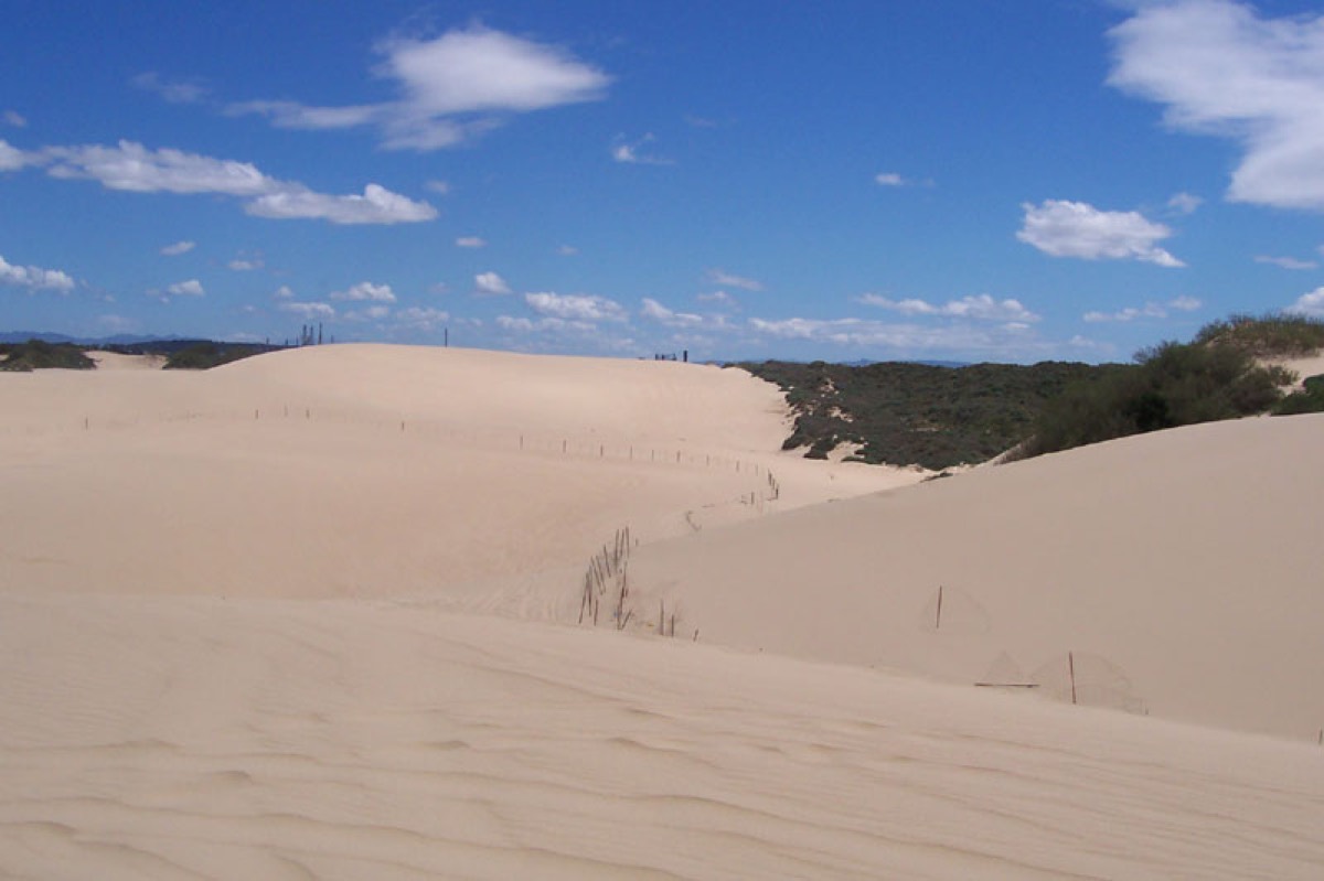 Open sand dunes under a blue sky