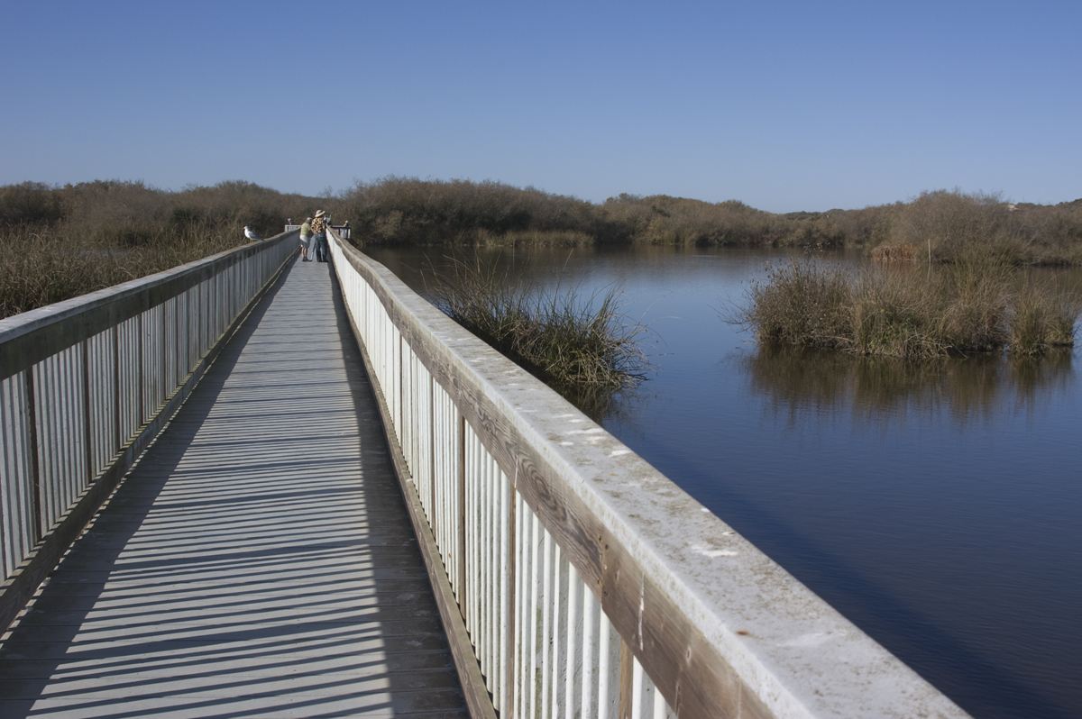 Wooden ADA-accessible boardwalk crossing Oso Flaco Lake at Oceano Dunes