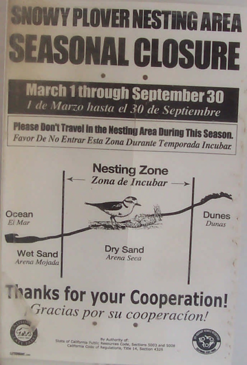 Snowy plover seasonal closure sign