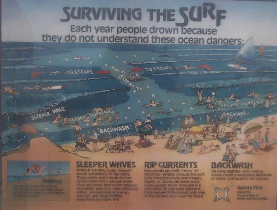 Surviving the Surf ocean safety sign