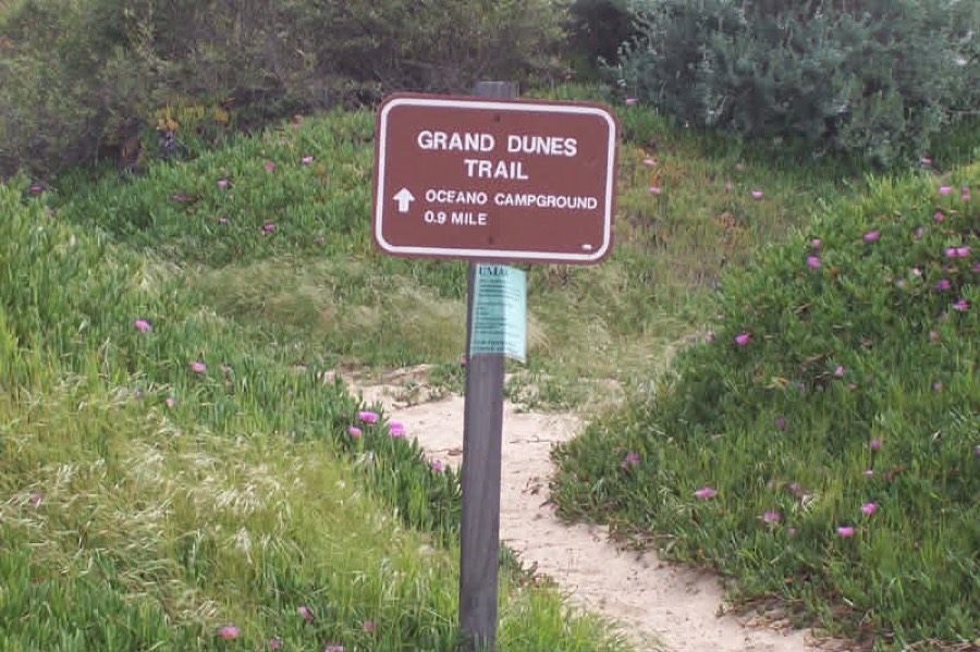 Grand Dunes Trail sign among dune vegetation
