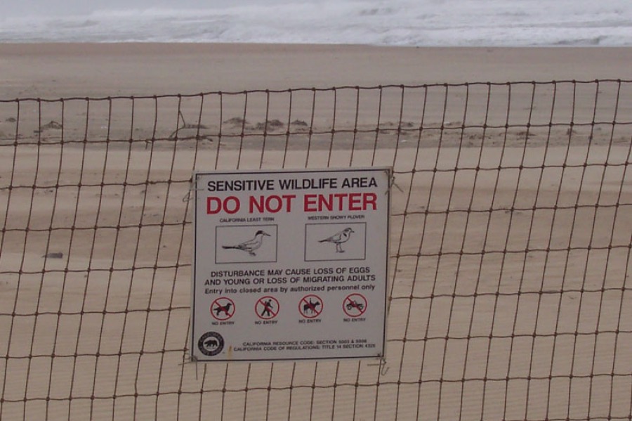 Sensitive wildlife area do not enter sign on fence
